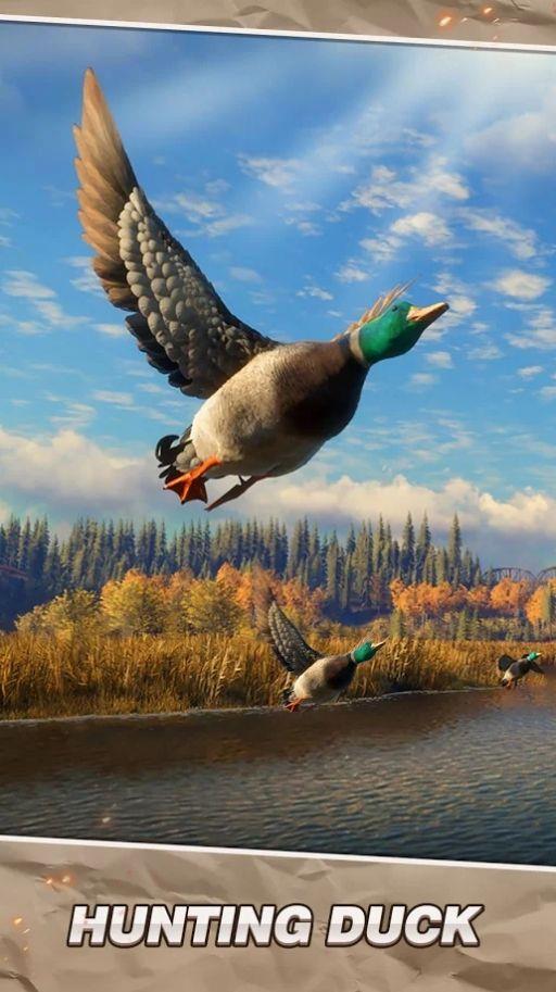 Hunting  v1.0.6图2