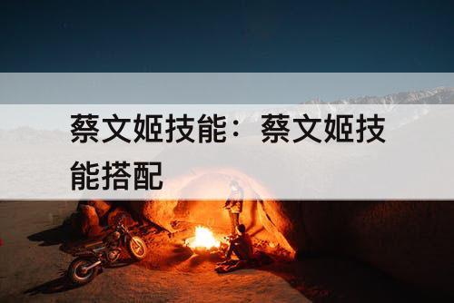 蔡文姬技能：蔡文姬技能搭配
