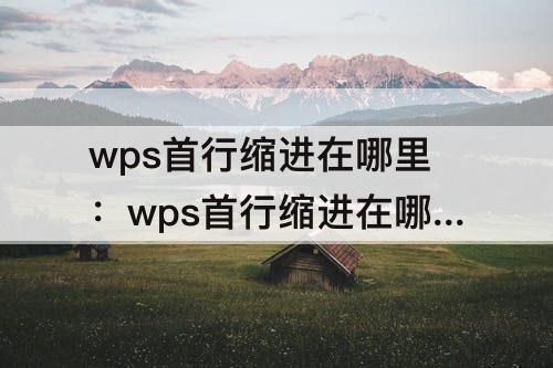 wps首行缩进在哪里：wps首行缩进在哪里调