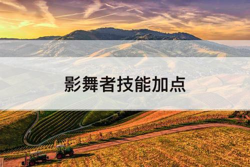 影舞者技能加点