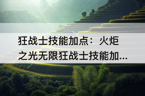 狂战士技能加点：火炬之光无限狂战士技能加点