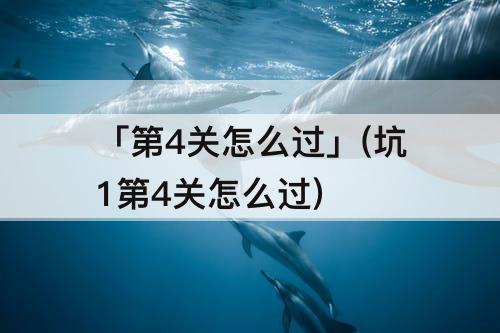 「第4关怎么过」(坑1第4关怎么过)