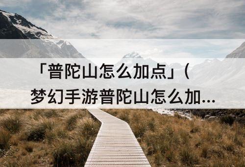 「普陀山怎么加点」(梦幻手游普陀山怎么加点好)