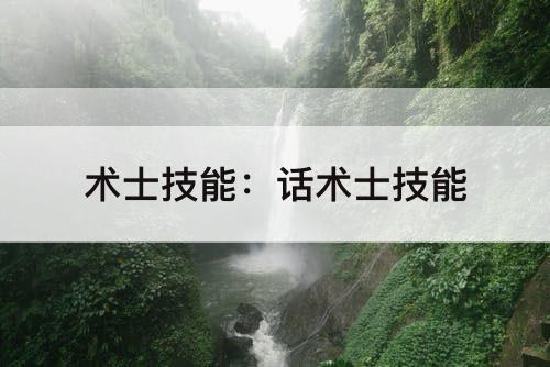术士技能：话术士技能
