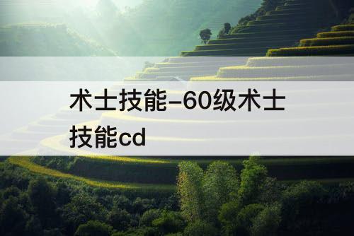 术士技能-60级术士技能cd