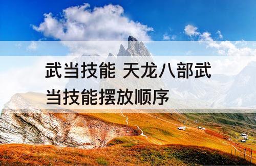 武当技能 天龙八部武当技能摆放顺序