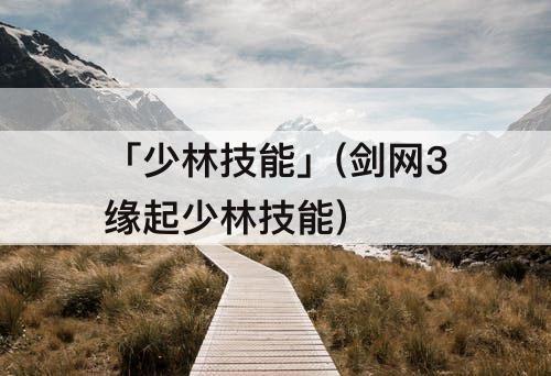 「少林技能」(剑网3缘起少林技能)