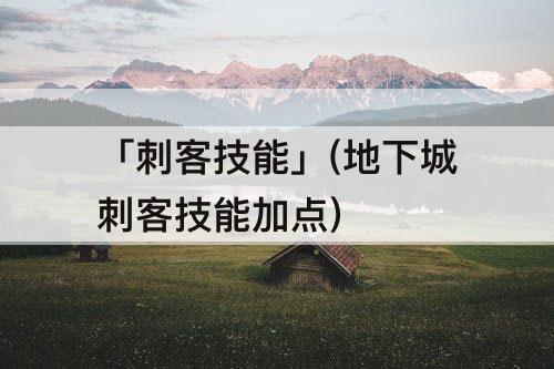 「刺客技能」(地下城刺客技能加点)