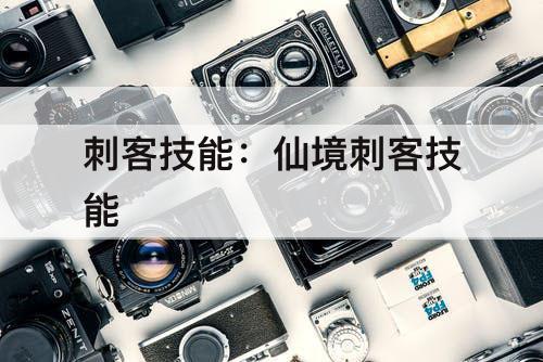 刺客技能：仙境刺客技能