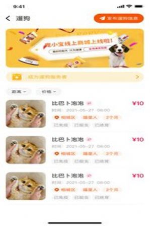 财猫双犬  v1.0.0图1
