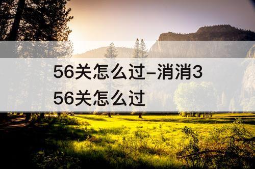 56关怎么过-消消356关怎么过