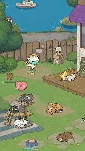 神秘猫咪字典  v1.0.0图2