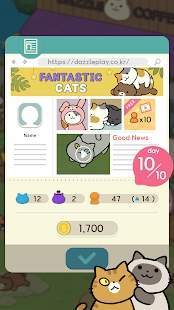 神秘猫咪字典