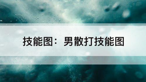 技能图：男散打技能图
