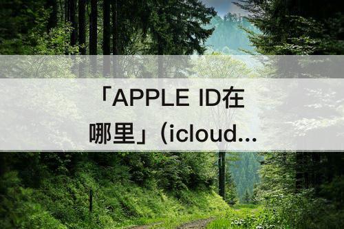 「APPLE ID在哪里」(icloud的apple id在哪里看)