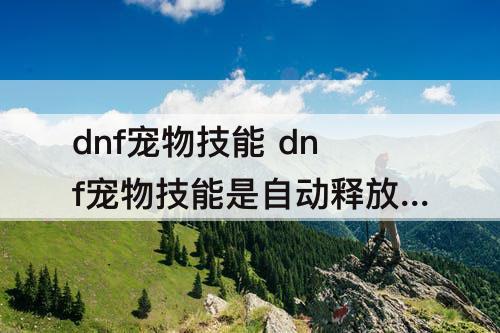 dnf宠物技能 dnf宠物技能是自动释放还是手动