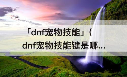 「dnf宠物技能」(dnf宠物技能键是哪个)