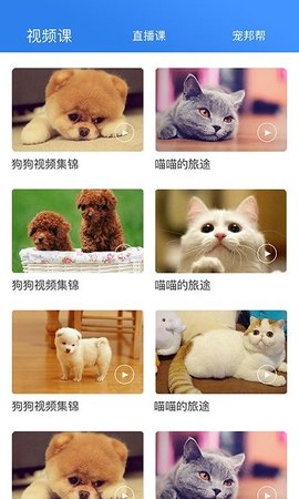 宠帮邦  v2.7.8图2