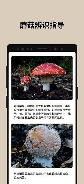 蘑菇识别扫一扫2024  v2.9.17图3