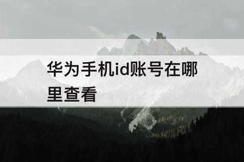 华为手机id账号在哪里查看