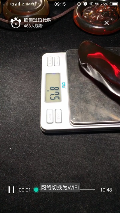 大熊翡翠原石