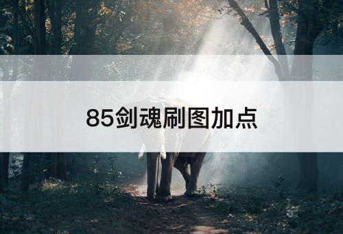 85剑魂刷图加点