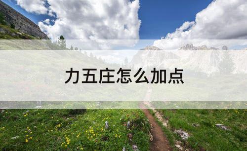 力五庄怎么加点