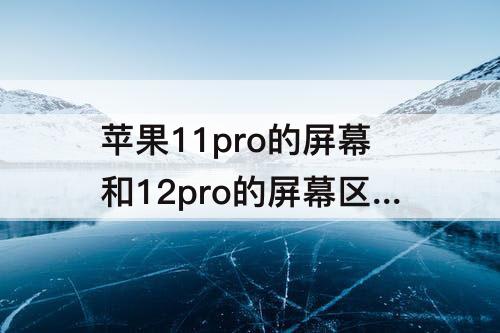苹果11pro的屏幕和12pro的屏幕区别