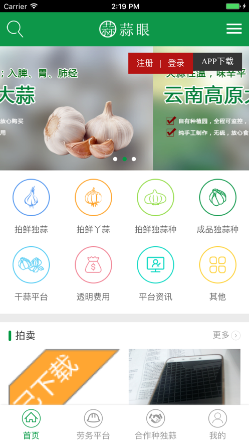 蒜眼安卓版  vv1.0图1