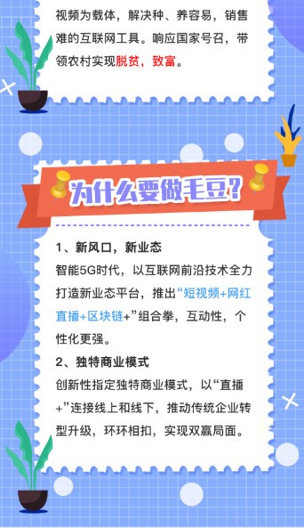 毛豆视界安卓版