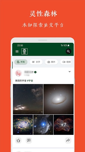 灵性森林手机版