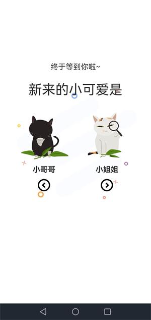 喵上二次元最新版