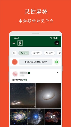 灵性森林最新版