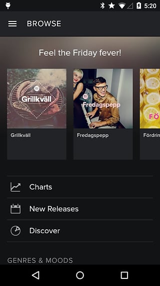 spotify安卓平板下载  v8.6图2