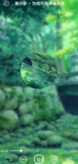 华为本地音乐播放器下载  v1.9图1