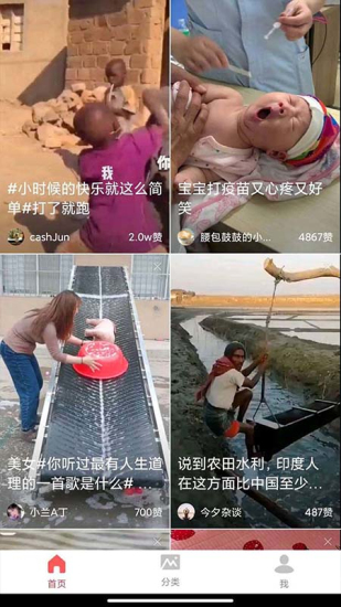 全民刷短剧2024