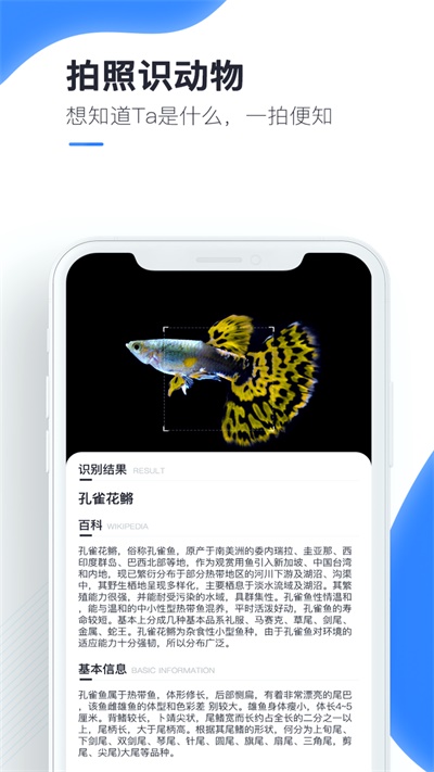 百科扫描王手机版下载免费安装官网  v1.0.0图1