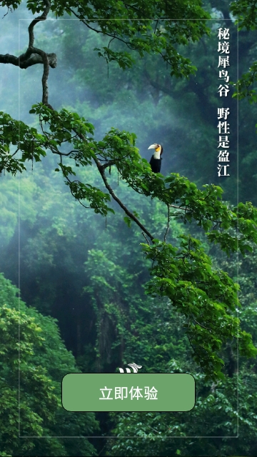 盈江云安卓版  v1.0.4图3