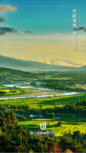 盈江云安卓版  v1.0.4图2