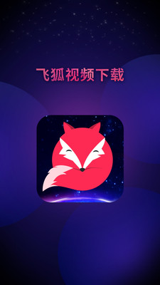 飞狐视频下载器下载  v3.5.0图3