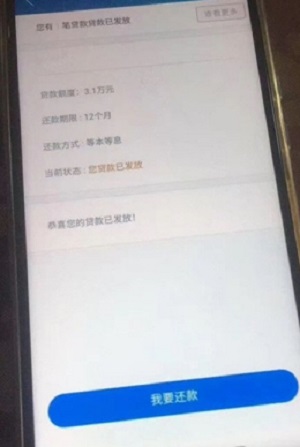 金蝶效贷免费版下载官网  v9.0.95图1