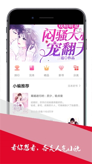 小小追书普通下载