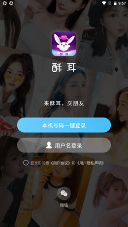酥耳交友2024