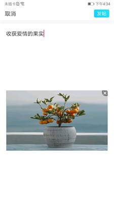 彩凤交友免费版官网
