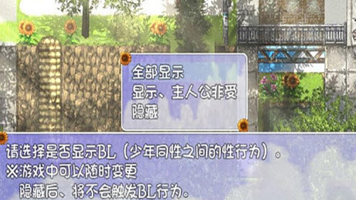 我的暑假秘密回忆繁星汉化版灰白移植下载  v1.6.0图3