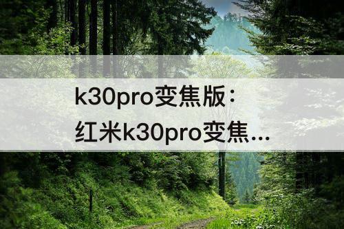 k30pro变焦版：红米k30pro变焦版价格8+256