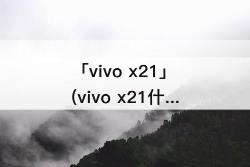 「vivo x21」(vivo x21什么时候出的)