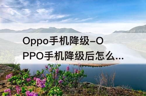 Oppo手机降级-OPPO手机降级后怎么升级
